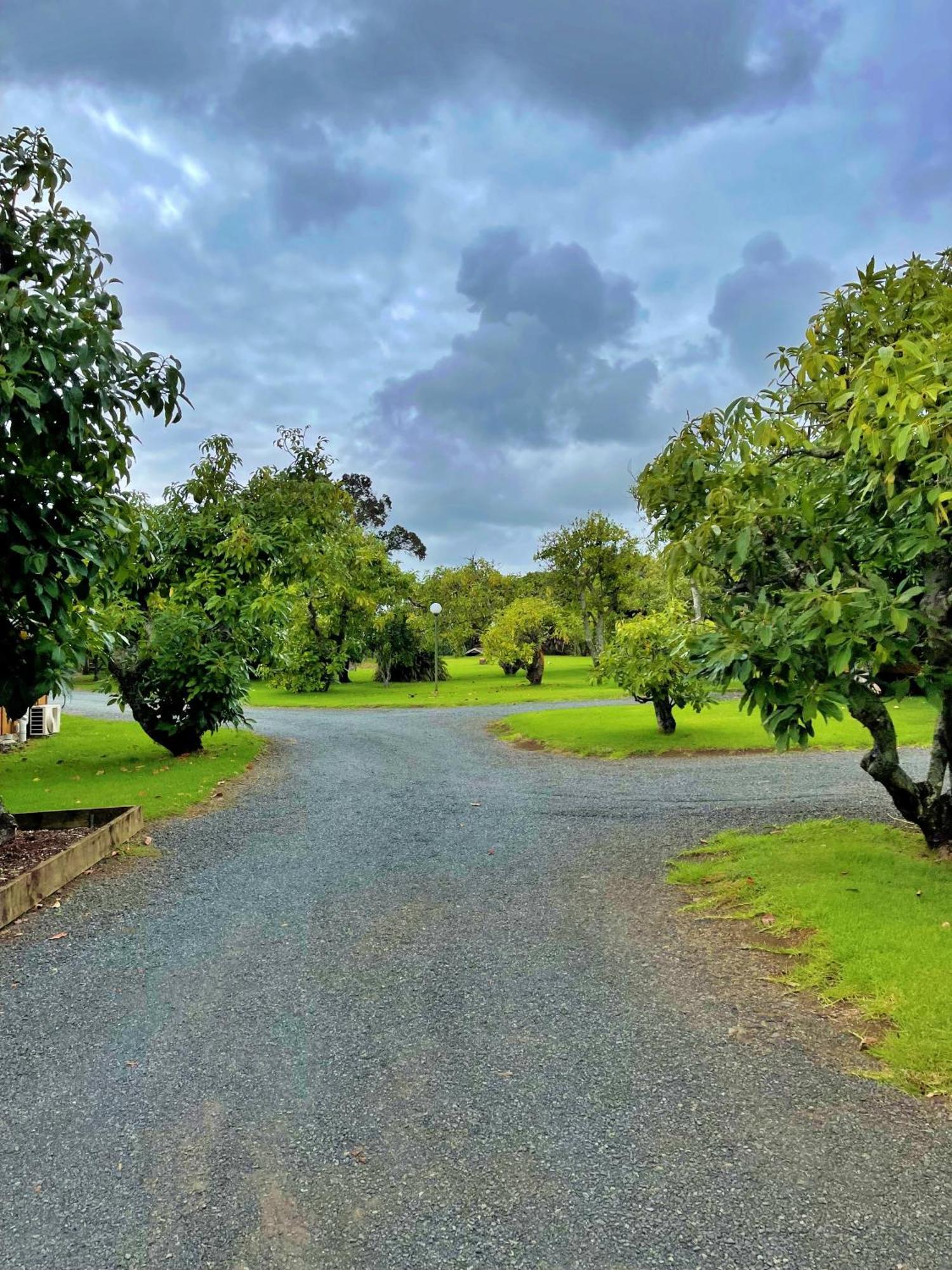 Kerigold Secluded Chalets Motel Kerikeri Eksteriør billede